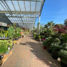 Tuincentrum Almeerplant