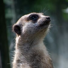 Dierenpark de Oliemeulen