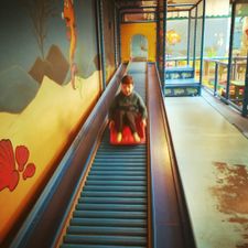 Avonturenstad de Bubbeljungle