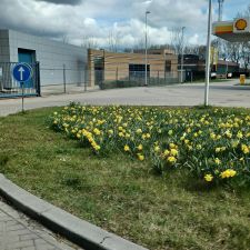 Shell Express Wijk bij Duurstede