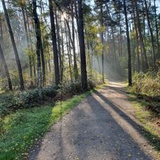 de Herkenbosche