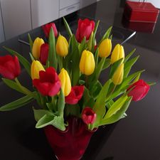 Café Schtad Zitterd