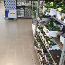 ALDI Vlodrop Angsterweg