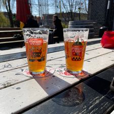 Brouwerij Poesiat & Kater