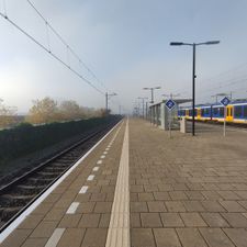 Almere Oostvaarders