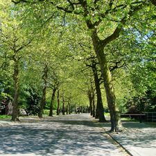 Boutiquehotel Sycamore - Protected City View - 950m from Central Station
