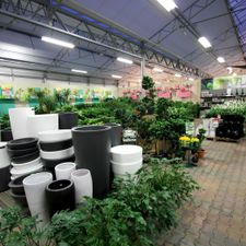 Tuincentrum Almeerplant