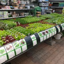 Tuincentrum Almeerplant