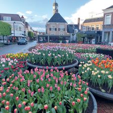 Blokker Almelo Grotestraat