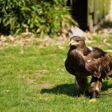 Dierenpark de Oliemeulen