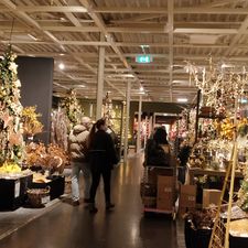 Intratuin Duiven