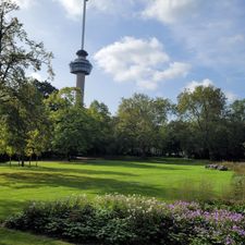 Dudok In Het Park