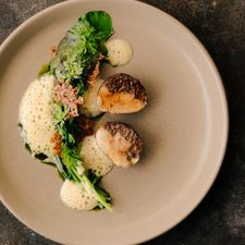 Restaurant Wils