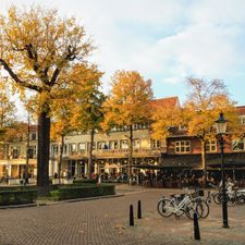 De Swaen