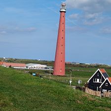 Nogal Wiedus