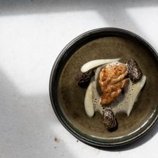 Restaurant Bisque