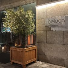 Beluga Loves You | Michelin | Luxe Restaurant Maastricht