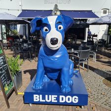 Blue Dog Breda