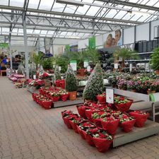 Tuincentrum Almeerplant