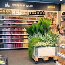 Xenos Schiedam