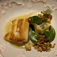 Lars Amsterdam
