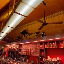 Kafé België