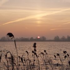 Landal De Reeuwijkse Plassen