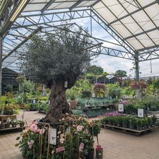 Tuincentrum Almeerplant