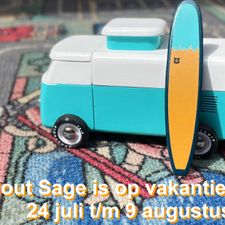 Hout Sage Speelgoed