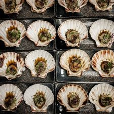 Ichi Asian Fusion Cuisine