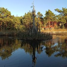 Vakantiepark Efteling Bosrijk