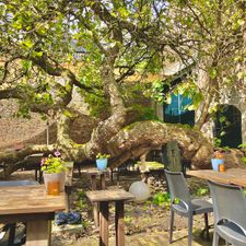 Eet-Lokaal | Café, Restaurant & Zalen