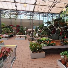Intratuin Elst