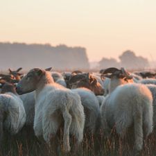 Hotel- Restaurant 't Wapen van Exloo (Woensdag en donderdag alleen geopend voor hotelgasten)