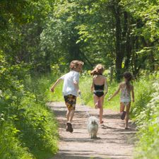 Molecaten Park Rondeweibos