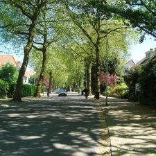 Boutiquehotel Sycamore - Protected City View - 950m from Central Station