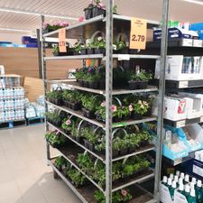 ALDI Berkel en Rodenrijs Molenwerfstraat
