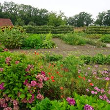 De Blauwe Camer