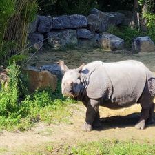 Diergaarde Blijdorp