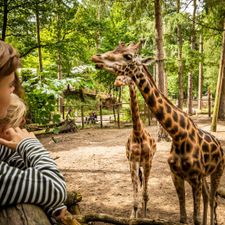 DierenPark Amersfoort