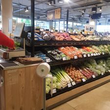 Jumbo Dieren