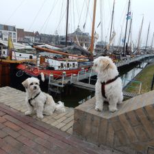 Blokker Harlingen