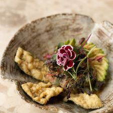 Grace Festive Restaurant - Rotterdam