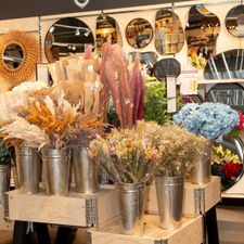 Xenos Purmerend