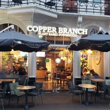Copper Branch