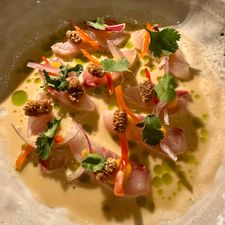 ARCA Amsterdam