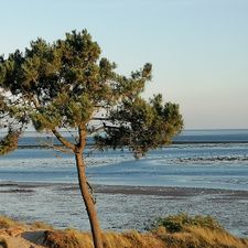 Stayokay Hostel Terschelling