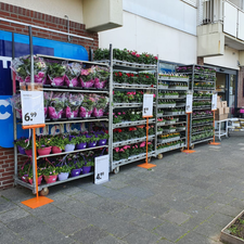 GAMMA bouwmarkt Wassenaar Compact