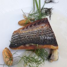 Dinner at Six