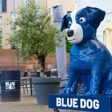 Blue Dog Breda